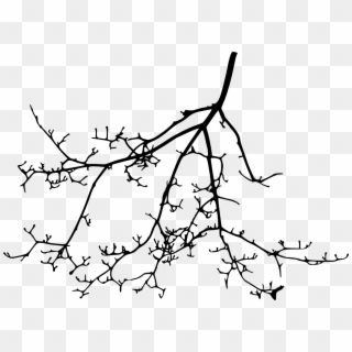 Tree Branch Silhouette Transparent Vol Png Sleek Silhouette - Line Art, Png Download
