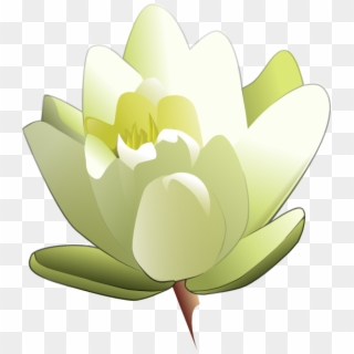 Leland Mcinnes Water Lily Svg Clip Arts 534 X 599 Px, HD Png Download