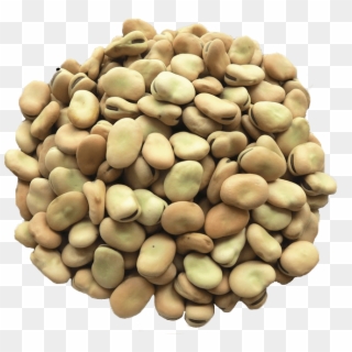 Fava Beans - Chickpea, HD Png Download