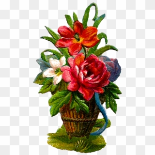 Lily , Png Download, Transparent Png