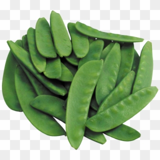 Green Beans - Bean, HD Png Download