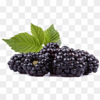 Raspberry Png Transparent Images - Black Raspberry Png, Png Download