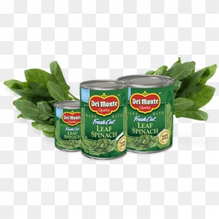 Sizes Available - 7 - 75oz, 13 - 5oz, 22 - 5oz, 27oz - Del Monte Spinach, HD Png Download
