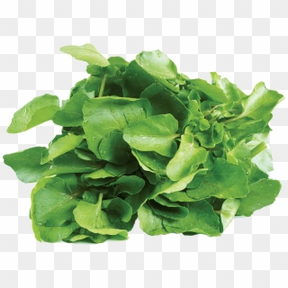Greens Water Spinach - Watercress Png, Transparent Png