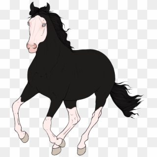Photo Gunshot - Mane, HD Png Download