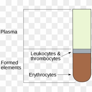 Hematocrit Png, Transparent Png