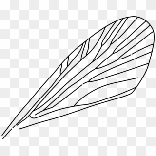 This Free Icons Png Design Of Insect Wing, Transparent Png