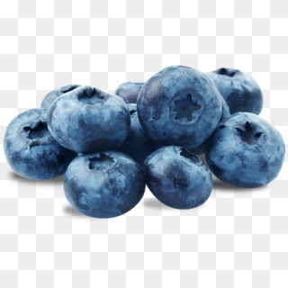 Bunch Of Blueberries, HD Png Download