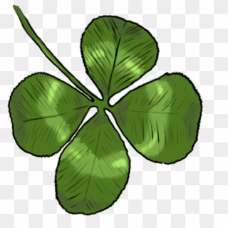 Four Leaf Clover Drawing - Clover, HD Png Download