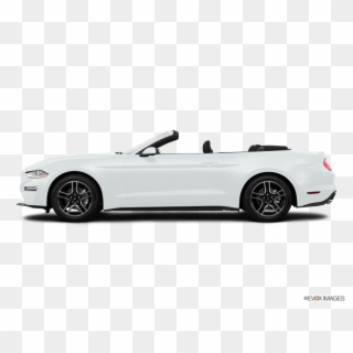 New 2018 Ford Mustang In Lexington, Sc - 2019 White Mustang Convertible, HD Png Download