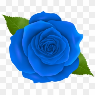 Free Png Download Blue Rose Png Images Background Png - Blue Rose No Background, Transparent Png
