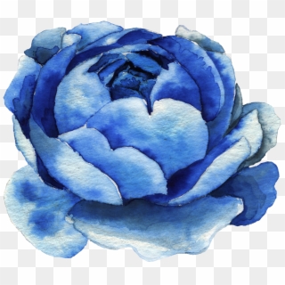 #freetoedit #ftestickers #watercolor #blue #rose #cluster - Flower Png ...