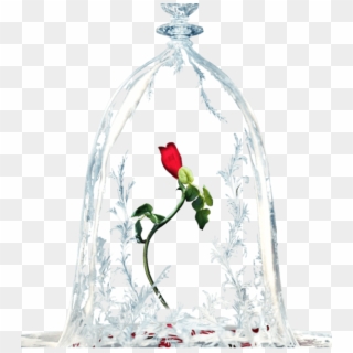 Beauty And The Beast Rose Transparent, HD Png Download