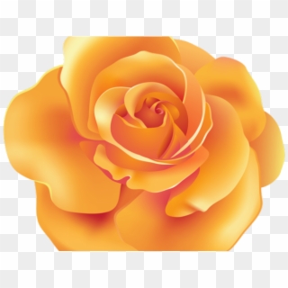 Spain Clipart Beauty And The Beast Rose - Orange Transparent Roses, HD Png Download