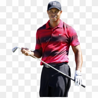 Tiger Woods Png Clipart - Tiger Woods White Background, Transparent Png