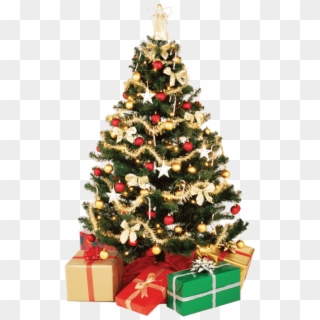 Free Png Download Small Christmas Tree Png Images Background - High Resolution Christmas Tree, Transparent Png