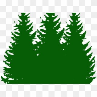 Pine Clipart Small Tree - Three Pine Trees Clip Art, HD Png Download