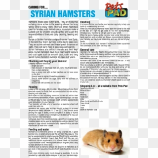 Hamster , Png Download - Golden Hamster, Transparent Png