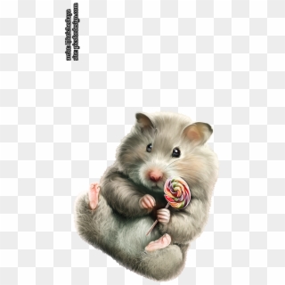 Like Share - Hamster, HD Png Download