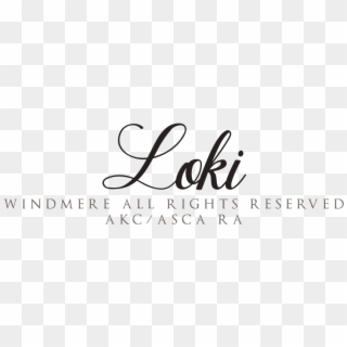 Loki Windmere All Rights Reserved, Is My Daughter Brittany's - Calligraphy, HD Png Download