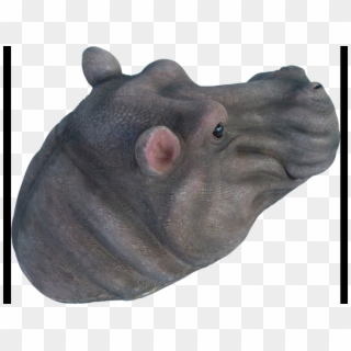 Hippo Head Png, Transparent Png