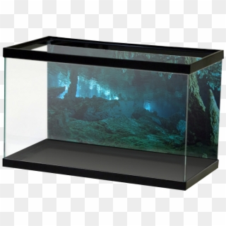 Aquariumvinyl Stalagmightcave, HD Png Download