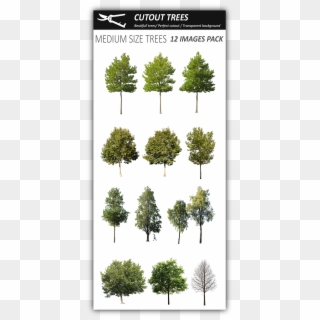 Pin Do Cutout Trees Em Photoshop Vegetation Png Pinterest - Tree Cutout Png Pack, Transparent Png