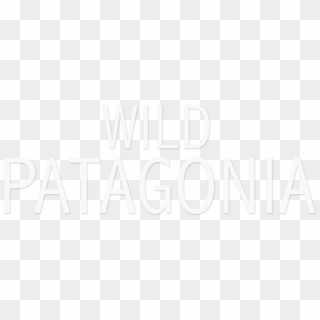 Transparent Png