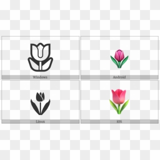 Tulip On Various Operating Systems - Emblem, HD Png Download