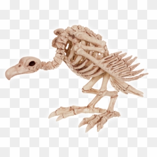 Crazy Bonez Skeleton Vulture - Halloween Animal Skeletons, HD Png Download
