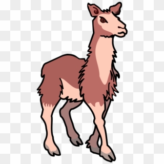 Llama Alpaca Download Computer Drawing - Lama Clipart, HD Png Download