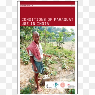 A New Report Published Today Conditions Of Paraquat - Tree, HD Png Download