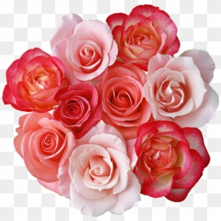 Roses Bouquet Clipart - Bunch Of Roses Clipart, HD Png Download