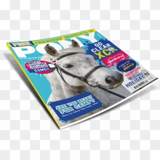 July Pony Magazine Front Cover - Stallion, HD Png Download