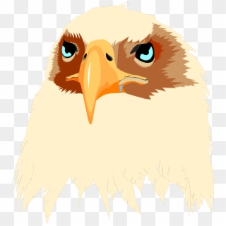 Eagle Free Stock Illustration Of Head - Eagle Usa, HD Png Download