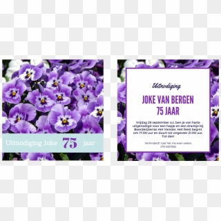 Invitation Card Design - Pansy, HD Png Download