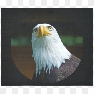 American Bald Eagle Head 001 06 Rd Cotton Linen Wall - Bald Eagle, HD Png Download