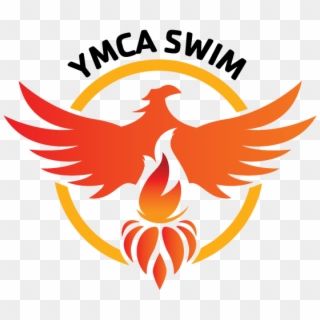 Swim Team And Swim Camp - New Ymca, HD Png Download