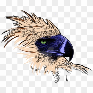 Philippine Eagle Png - Logo Philippine Eagle Drawing, Transparent Png