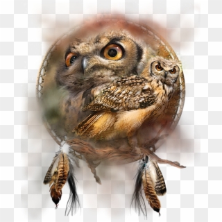 Native American Owl Free, HD Png Download