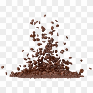 Coffee Beans - Illustration, HD Png Download