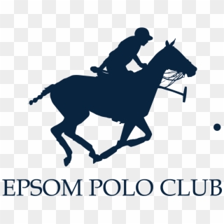 447961 232106 Epsompoloclub@hotmail - Polo Player Rider Horse, HD Png Download