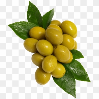 Olives Hd Png - Olives Png, Transparent Png