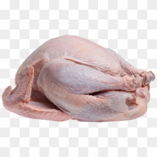 Uncooked Turkey Transparent Image Food Images - Turkey Bird Meat, HD Png Download