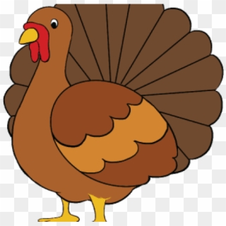 Easy To Draw Turkey, HD Png Download