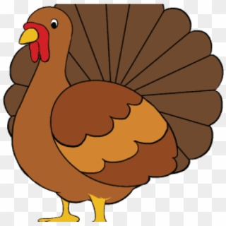 Easy To Draw Turkey, HD Png Download - 640x480(#909927) - PngFind