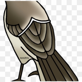 Mockingbird Clipart Texas Mockingbird - Texas State Bird Drawing, HD Png Download