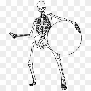 Human Skeleton Coloring Pages Coloring Pages Amp Pictures - Skeleton Png, Transparent Png