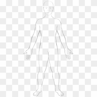 Interactive Body, HD Png Download