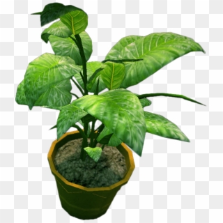 Potted Plants Png - Potted Plant Png File, Transparent Png